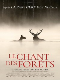 Affiche de Le chant des forêts