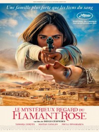 Affiche de Le Mystérieux regard du flamant rose